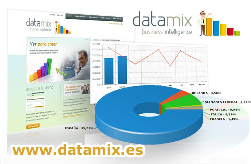 DataMix Busines Intelligence, software online