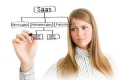 ¿Qué es el Software SaaS o Software Online?