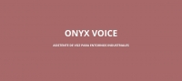 ANER lidera el proyecto ONYX VOICE
