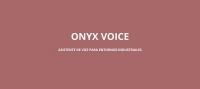 ANER lidera el proyecto ONYX VOICE
